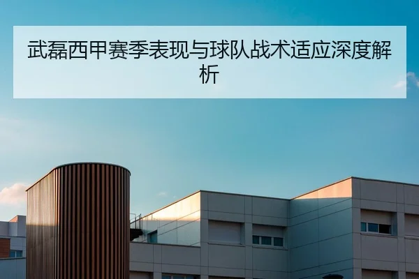 武磊西甲赛季表现与球队战术适应深度解析